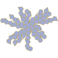 Pentagonal hexecontahedron